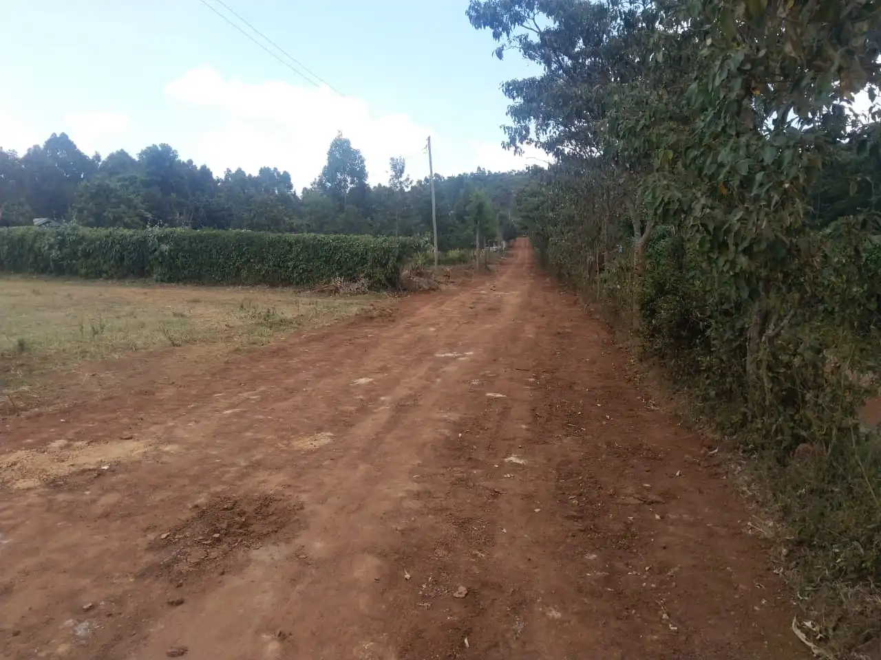 Graded Driveway Image