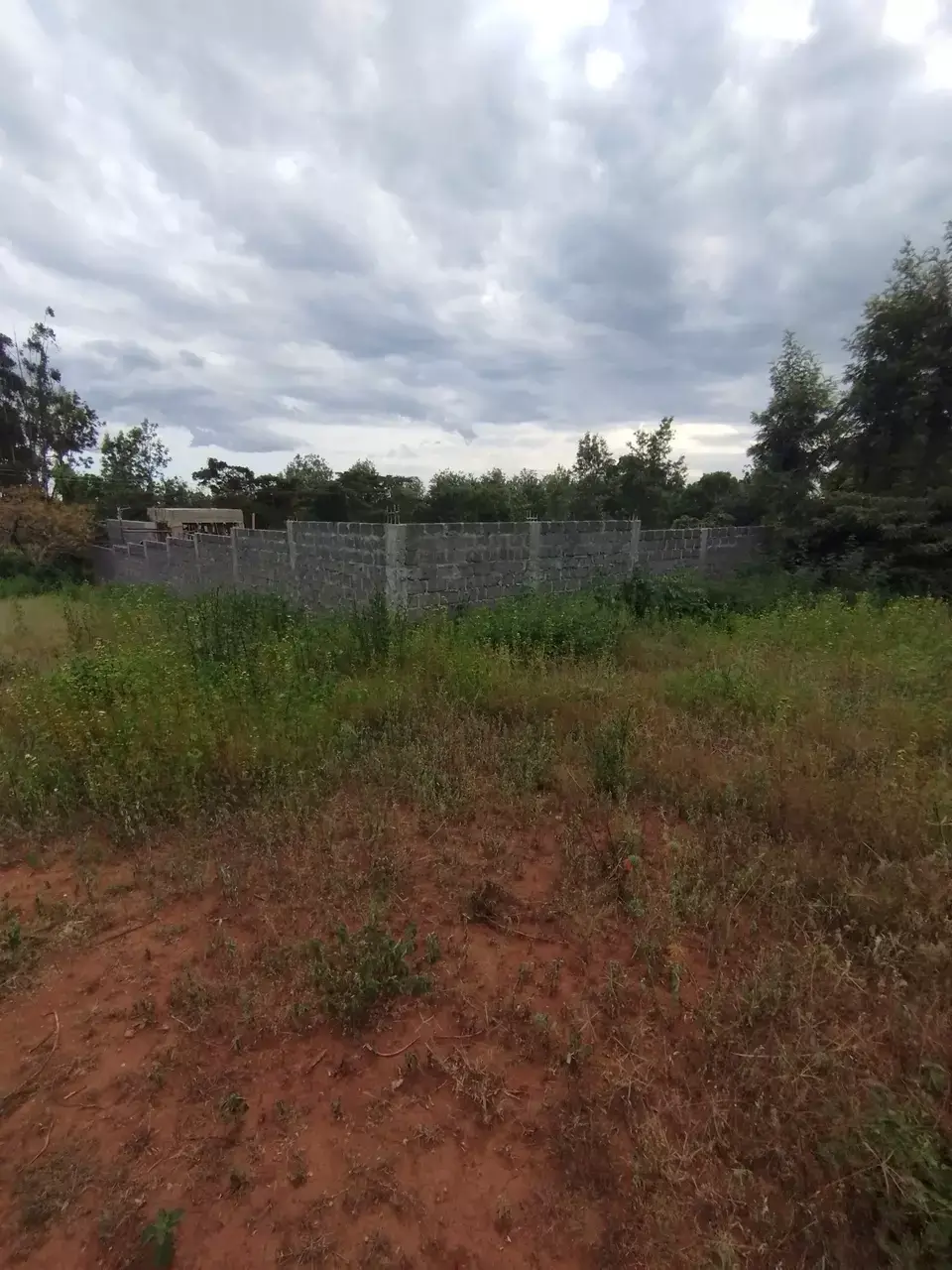 Neighbour Wall Image